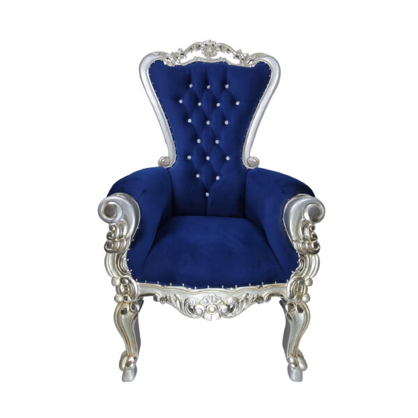 Shell Back Blue & Silver